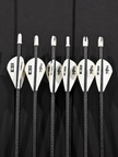 Banteng Arrow System